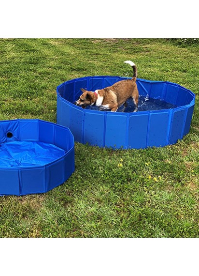Dog swimming pool